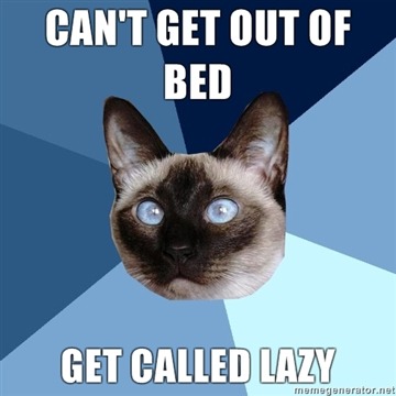 chronicillnesscat:  [Image: 6-piece blue colored background with a Siamese cat with blue eyes. Text reads: “Can’t get out of bed, get called lazy”] Words cannot describe how much this enrages me. I certainly don’t choose to spend my life sick