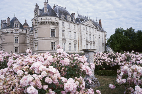 waterinmyveins:  enchanted castle 