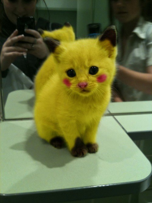 Olhem isso *-*