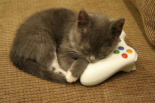 saathi1013:#now waiting for some dudebro to say this kitty isn’t a real gamer kitty
