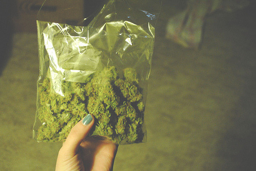 Shut Ya Face, Roll Weed !