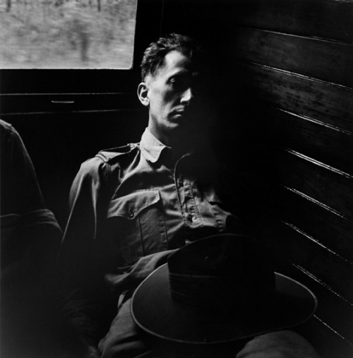 Max Dupain, Tired Soldier on Train, North Queensland, 1943