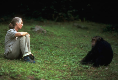 Jane Goodall is 77 today.