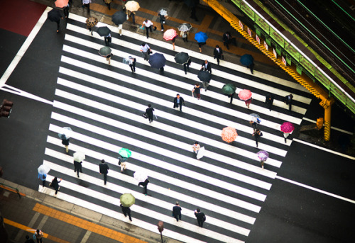 Navid Baraty | Intersection