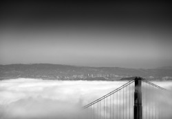 black-and-white:  Navid Baraty | San Francisco 