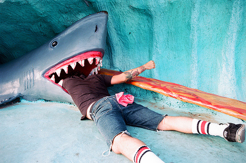 i had a dream where there was a little cave like this and a shark. I was on a roller