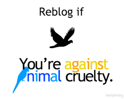 fuckyeahwizardry:  I am against animal cruelty! 