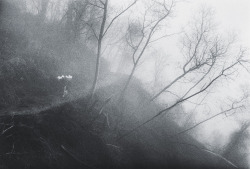 Sulfur, Indonesia photo by  Sebastião Salgado,