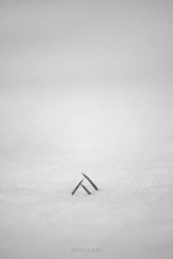 black-and-white:  triangle in the snow |