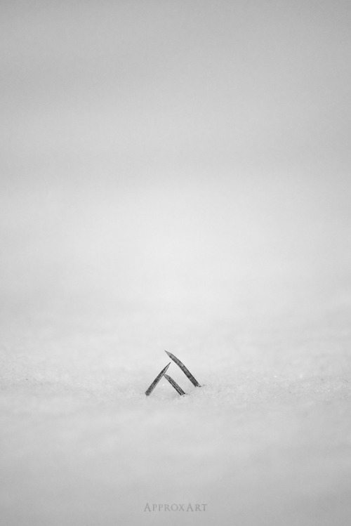 Porn black-and-white:  triangle in the snow | photos