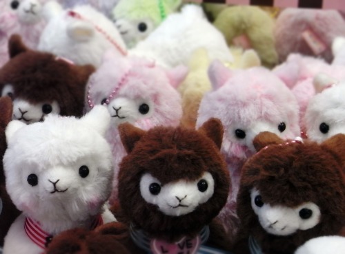catbountry:  the-milk-eyed-mender:  nigga-chan:  omg they have brown ones  the pink ones and the brown ones look cute together like cake  I love the white ones. Their blush is adorable. 