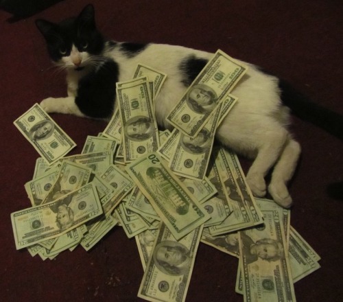 owlwood:  Dolla dolla bill ya’ll. 