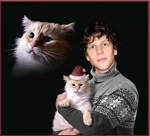 caffrin25:  They told me I could be anything.So I became a cat hoarder. 