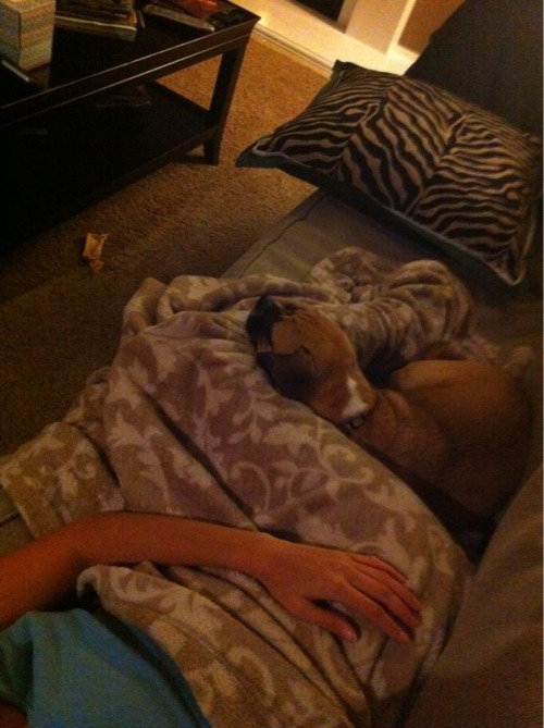 Good night with my snuggle puggle…