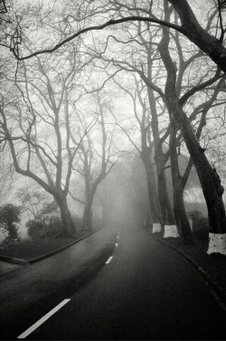 Na Estrada da Ribeira Grande photo by Luis Filipe Franco, 2011