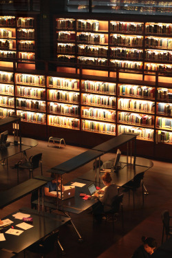 bookshelfporn:  Biblioteca Reina Sofia by