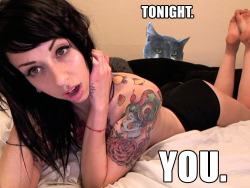 llane:  My cat is now such a creeper.  Well done @LifelessOne ! 