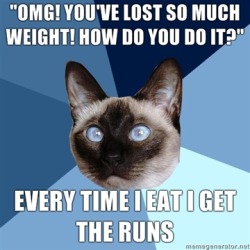 chronicillnesscat:  [Image: 6-piece blue colored background with a Siamese cat with blue eyes. Text reads: “”OMG! You’ve lost so much weight! How do you do it? EVERY TIME I EAT I GET THE RUNS”]  gpoy