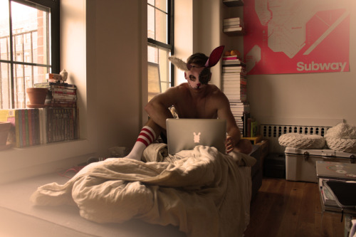 Brooklyn Bunny *Goldycox’s Apartment - Alexander Guerra 2011