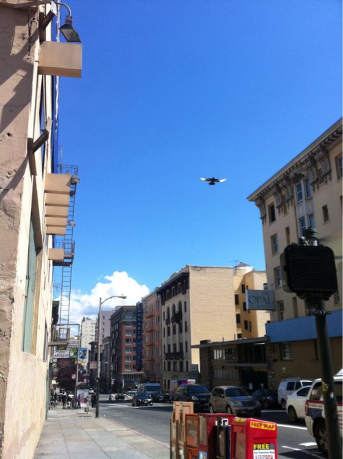 Van Ness & Geary.