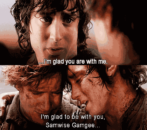 therealprincessleia:   The Fellowship of the Ring Frodo: Sam… I’m glad you’re