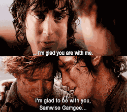 Therealprincessleia:   The Fellowship Of The Ring Frodo: Sam… I’m Glad You’re