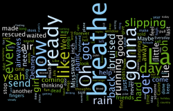silentsecrets:  Most commonly used words in Everything In Transit. 