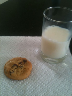 closetplayground:  afterburners:  heliumtea:  afterburners:  Hey look tumblr a freshly baked cookie and a glass of milk where is my incomprehensible number of notes  no no that’s all wrong here     Random picture hipster nonsense=brilliance?   brb