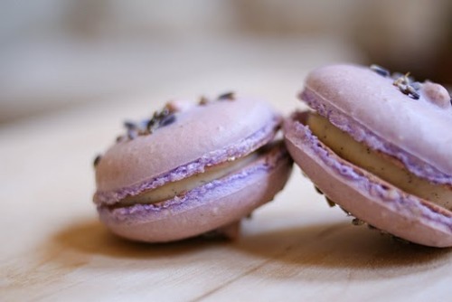 Sex gastrogirl:  lavender and vanilla bean macarons. pictures