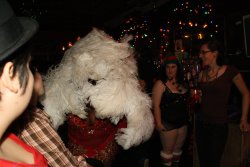 queerfatfemme:  Miasia, Washington, D.C.-based belly dancer, at Rebel Cupcake on December 9, 2010. Catch her at Rebel Cupcake again on Thursday in Brooklyn! All photos by Nogga Schwartz for Rebel Cupcake.