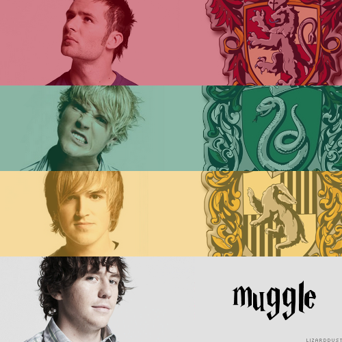 makotoruinedmylife-deactivated2:  McFly Harry Potter’s houses according to them