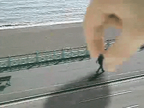 GIF Movie