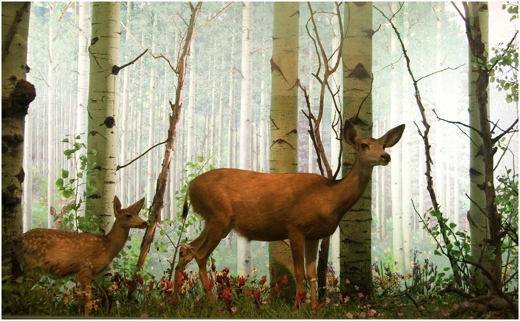 The Fine Art of Diorama – BUCK OFF BLOG