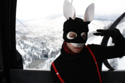 Ski Bunny Brer Rabbit - Aspen, Colorado -