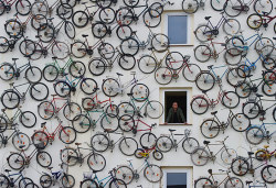 inspiro:  Altlandsberg, Germany: Hundreds of bicycles hang on the facade of a rental shop