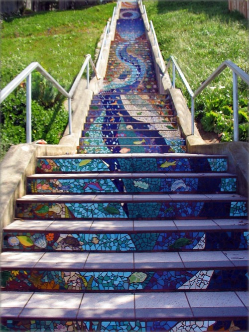 crazypaws:       The beautiful mosaic tiled steps of 16th Avenue & Moraga Street. Artists Aileen Barr and Colette Crutcher created the mosaic design, a colorful, flowing, sea-to-sky theme, with fish near the foot of the steps and birds, leaves and