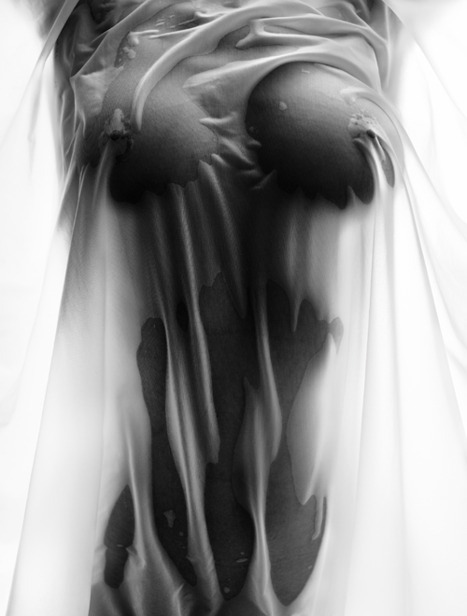 american-psyko-aka-passius: ♞