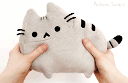 boogans:  pusheen:   Pusheen plushies are in stock!  That’s right. Plusheens. 20% off this week!   Oh my god oh my god  i need this in my life