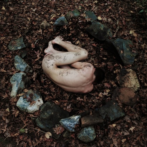 blackkittenclan:  rhamphotheca: from the earth we came…
