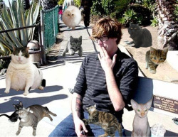 Andrew McMahon & cats
