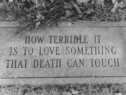 xxx tumblr