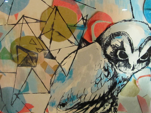 WiseOwls