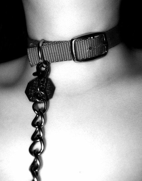 shesclassyasfuck:  If found, please return to…