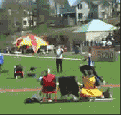 the-absolute-funniest-posts:  Follow this blog, you will love it on your dashboard