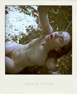 Nettie Harris http://davidhiltonphoto.tumblr.com/