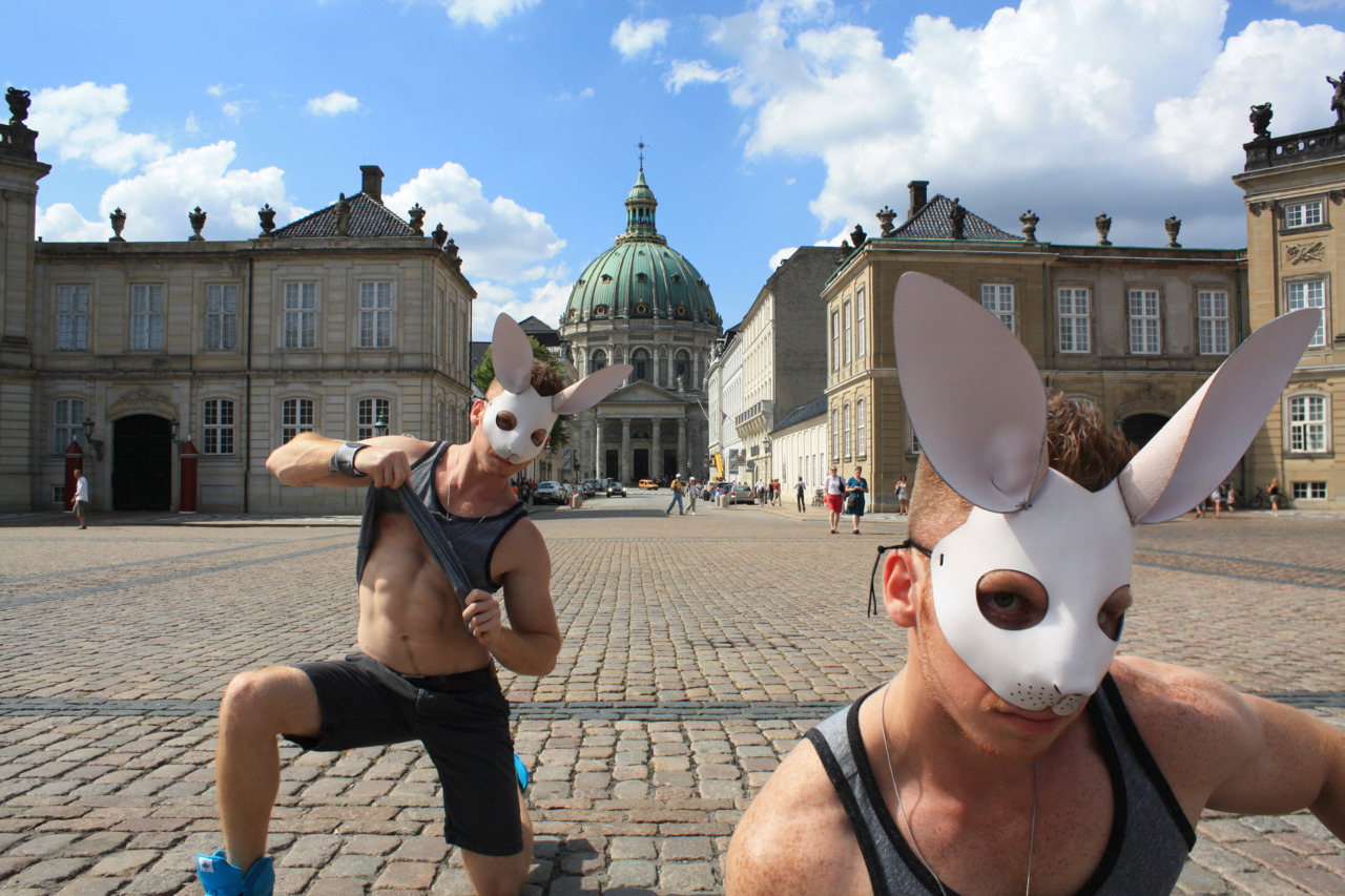 Den Hvide Kanin - Copenhagen 2010 - Alexander Guerra