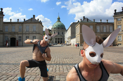 Den Hvide Kanin - Copenhagen 2010 - Alexander Guerra