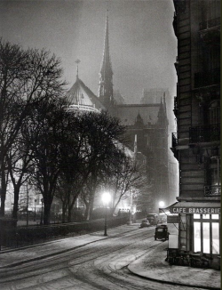 Kvetchlandia:  Albert Monier       Rue Du Cloitre-Notre-Dame, Paris      1953