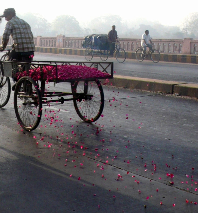 iheartmyart:  Ko Siu Lan, All That is Rose Melts Into Air, Street Works, 120 Kg Rose