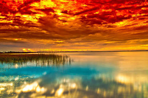 sunsurfer:  Tropical Sunset, St.Cloud Park, Florida  photo By emeraldF